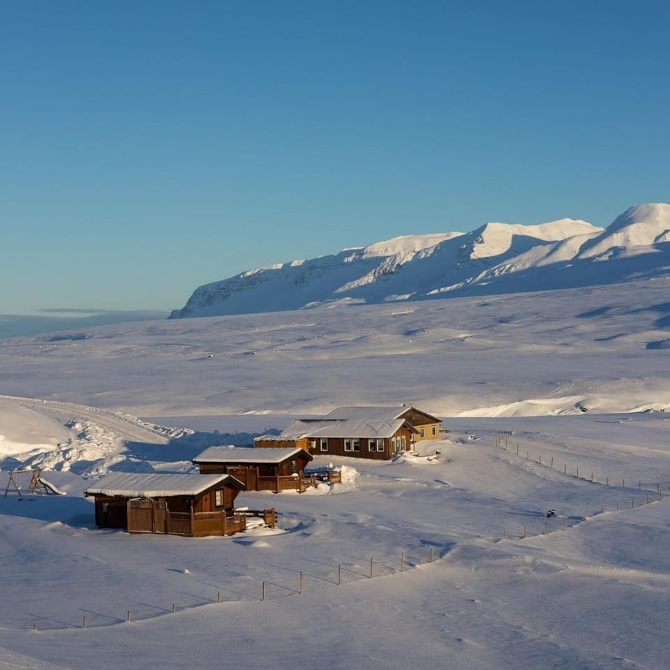Day, Winter, Mountain view