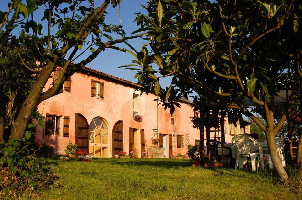 Facade/entrance, Garden