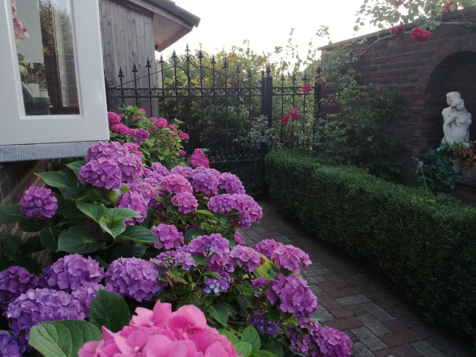 La Rose Bed and Breakfast in Lommel