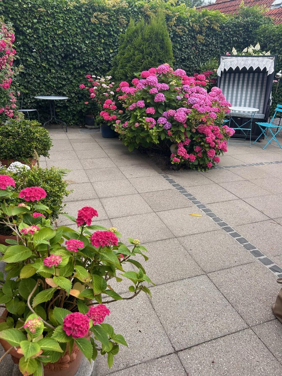 Garden view