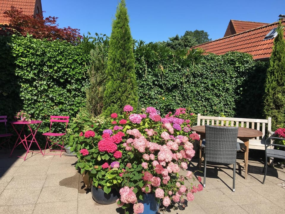 Patio, Garden