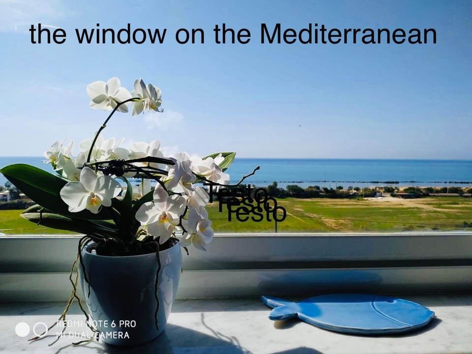 View (from property/room)