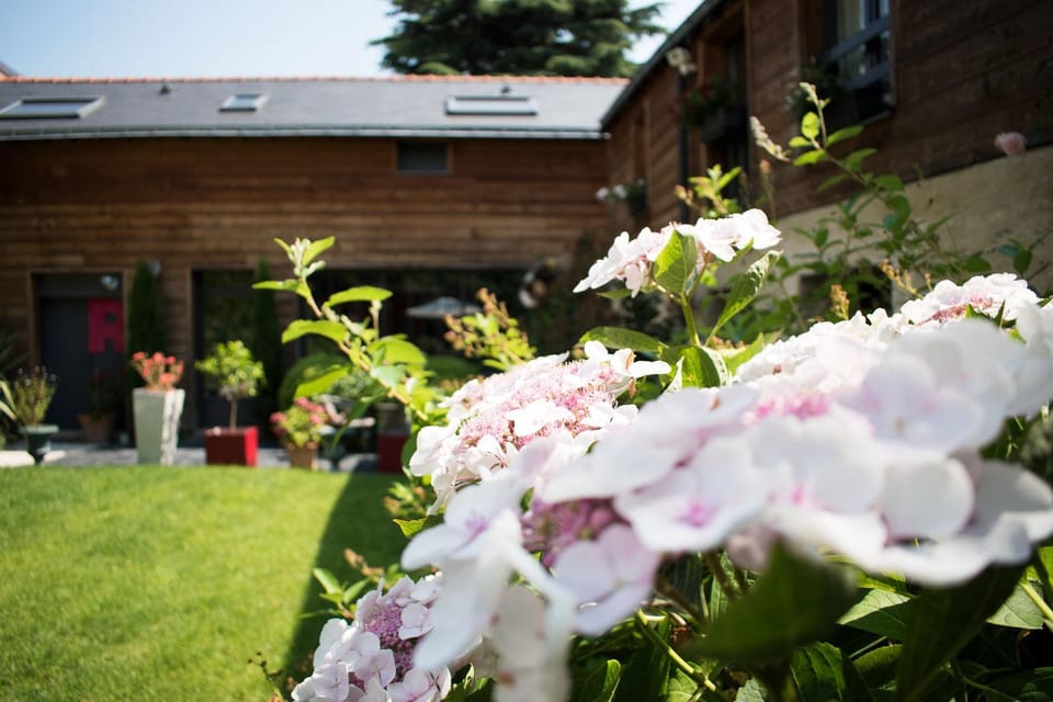 Madeleine & Cie Bed and Breakfast in Angers