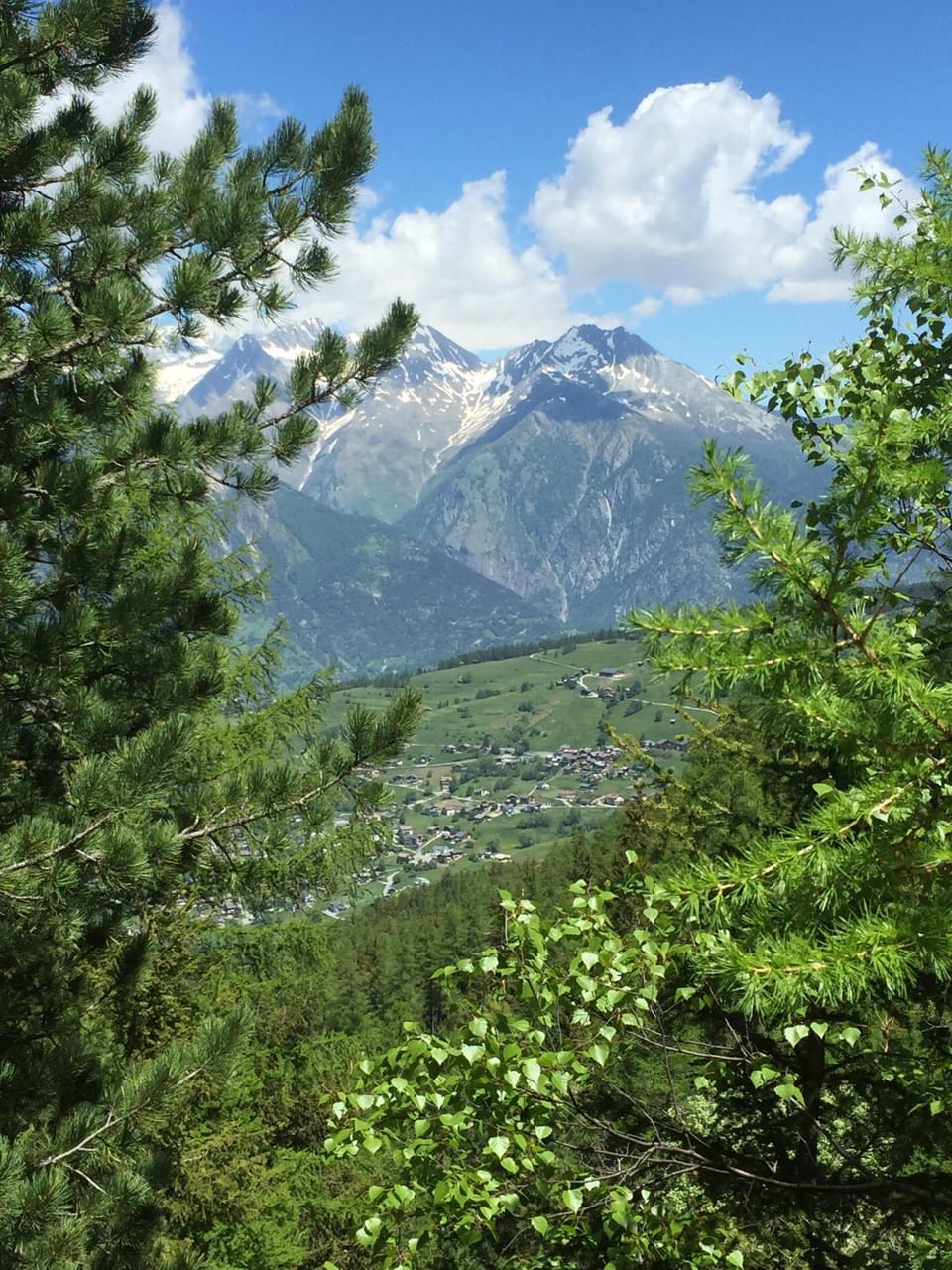 Natural landscape