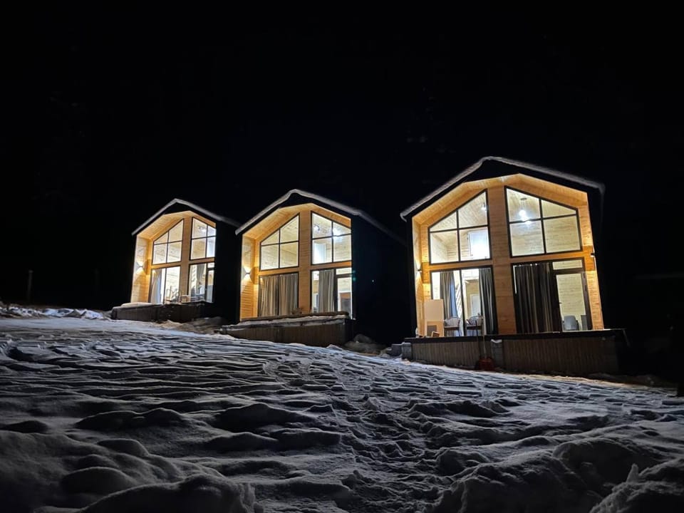Property building, Night, Natural landscape, Winter