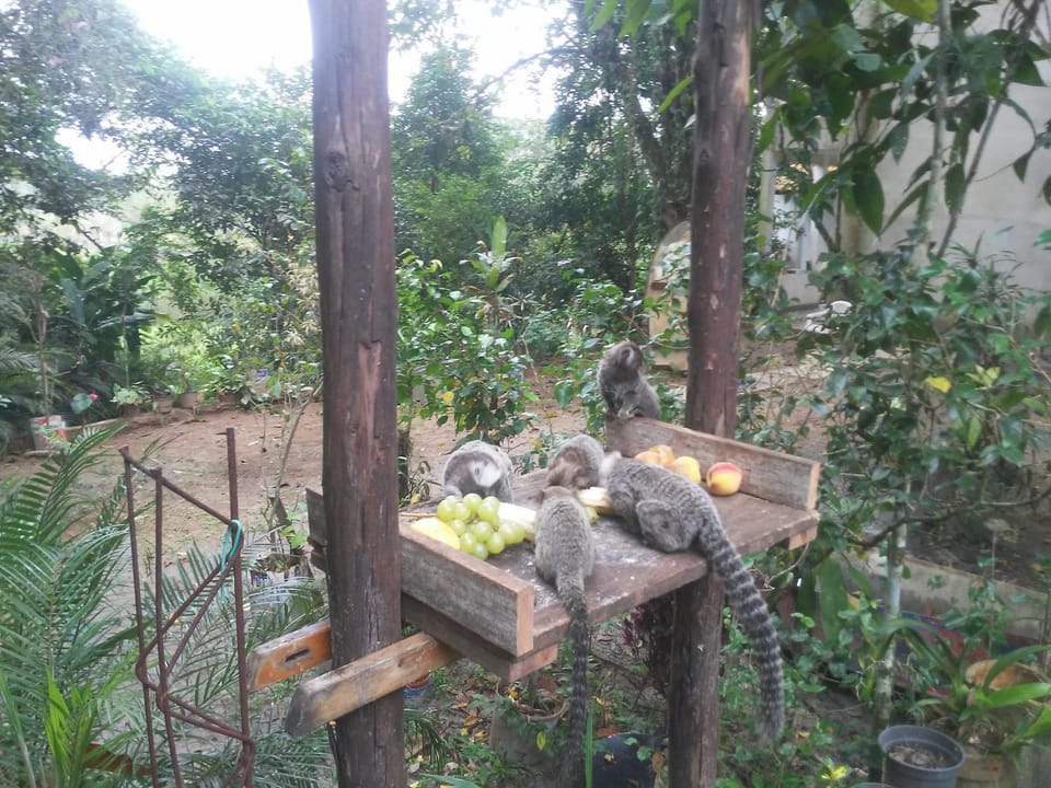 Chácara Recanto dos recantos Bed and Breakfast in Itanhaém