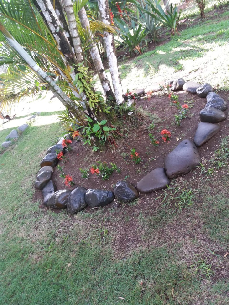 La Perla Hotel in Puntarenas Province