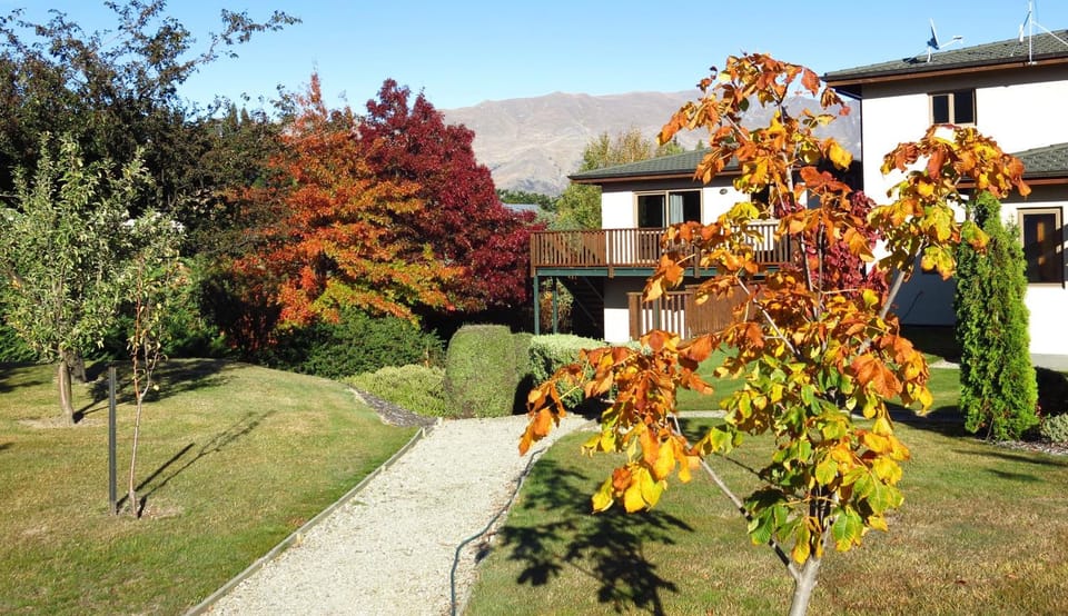 Autumn
