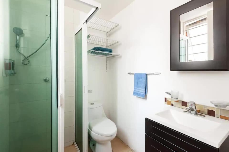 Shower, Toilet, Bathroom, towels