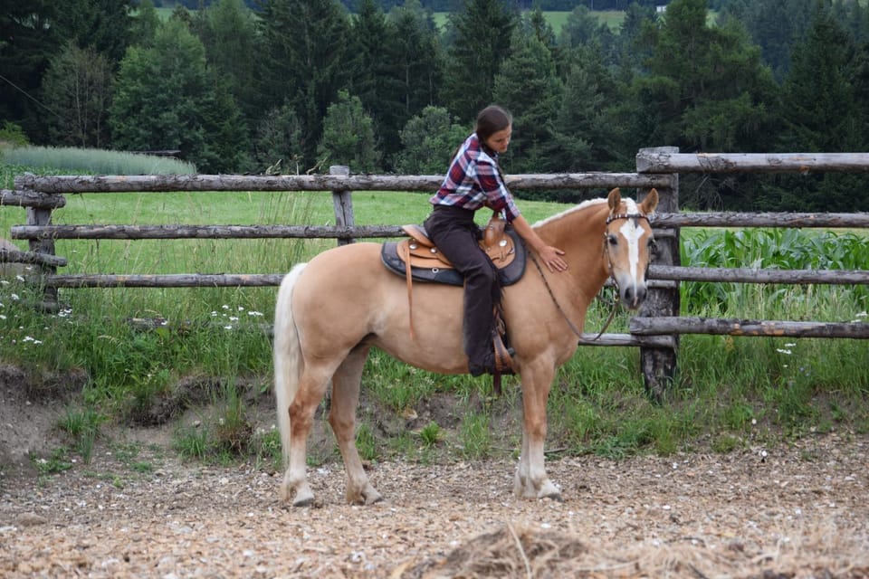 Horse-riding, Animals