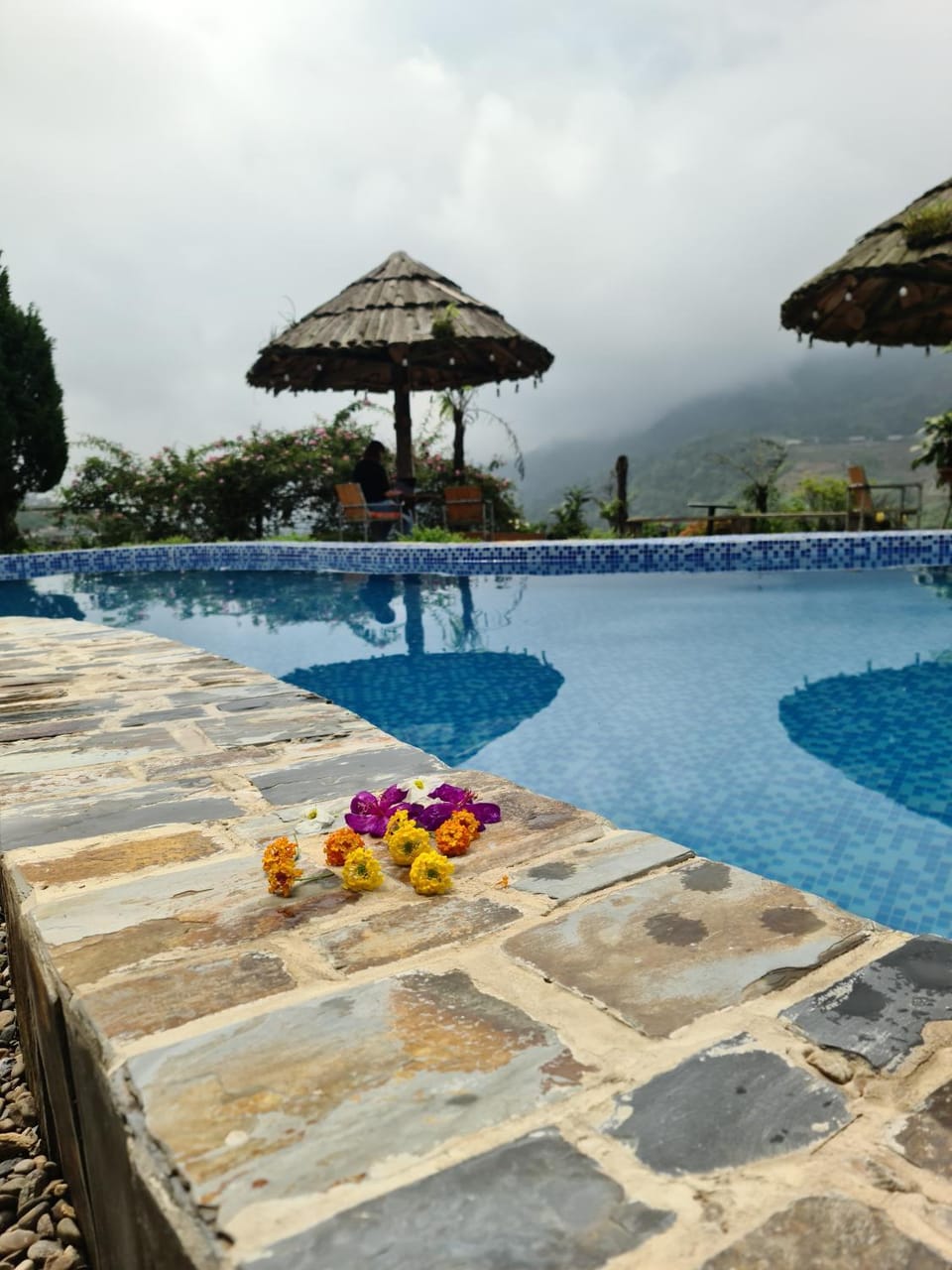 View (from property/room), Swimming pool