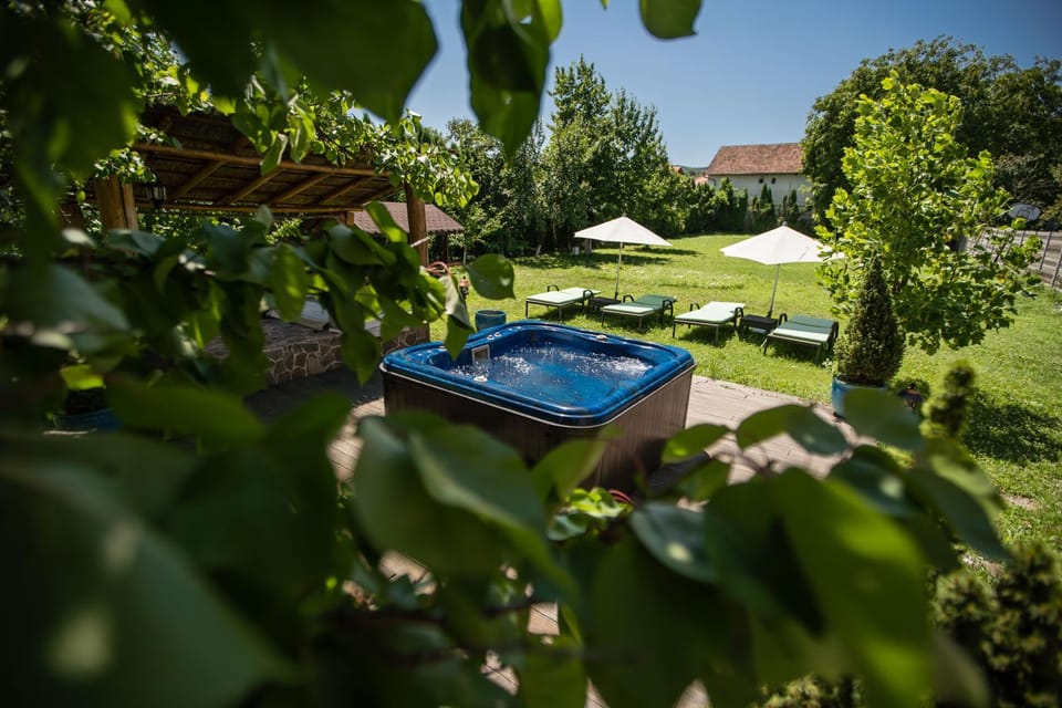 Day, Natural landscape, Garden, Garden view