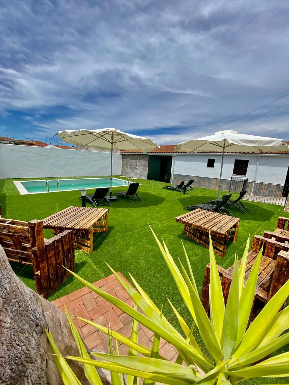 Garden, Swimming pool, sunbed