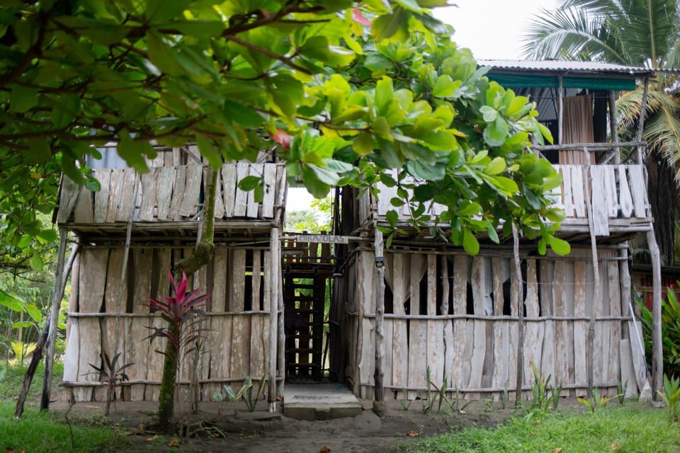 Miguel Surf Camp Campground/ 
RV Resort in Quepos