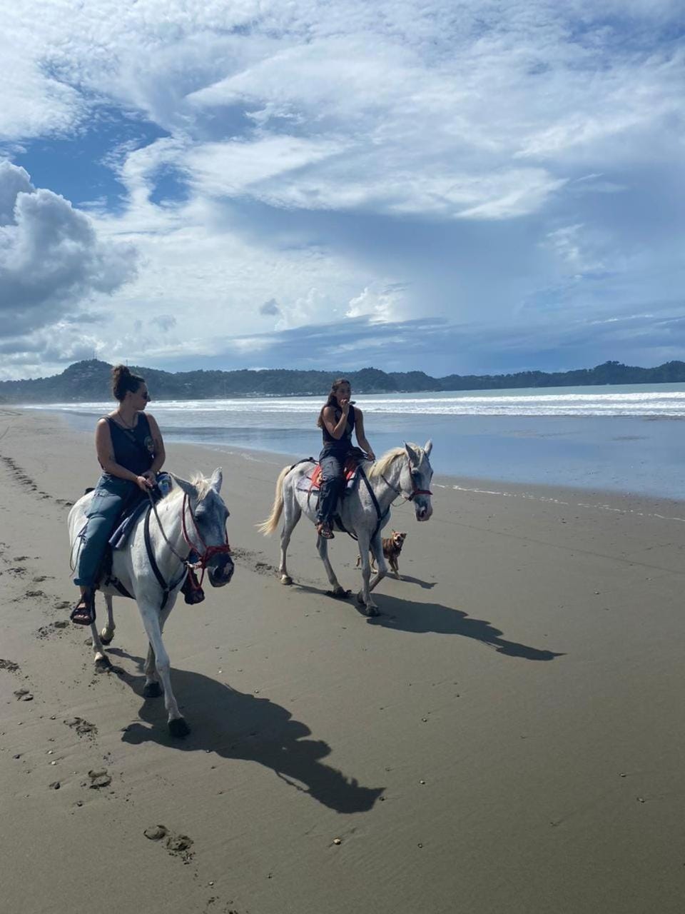 Miguel Surf Camp Campground/ 
RV Resort in Quepos