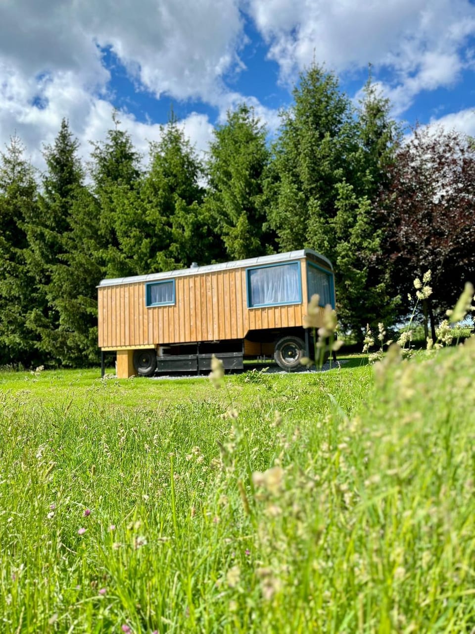 Property building, Spring, Day, Natural landscape, Garden view