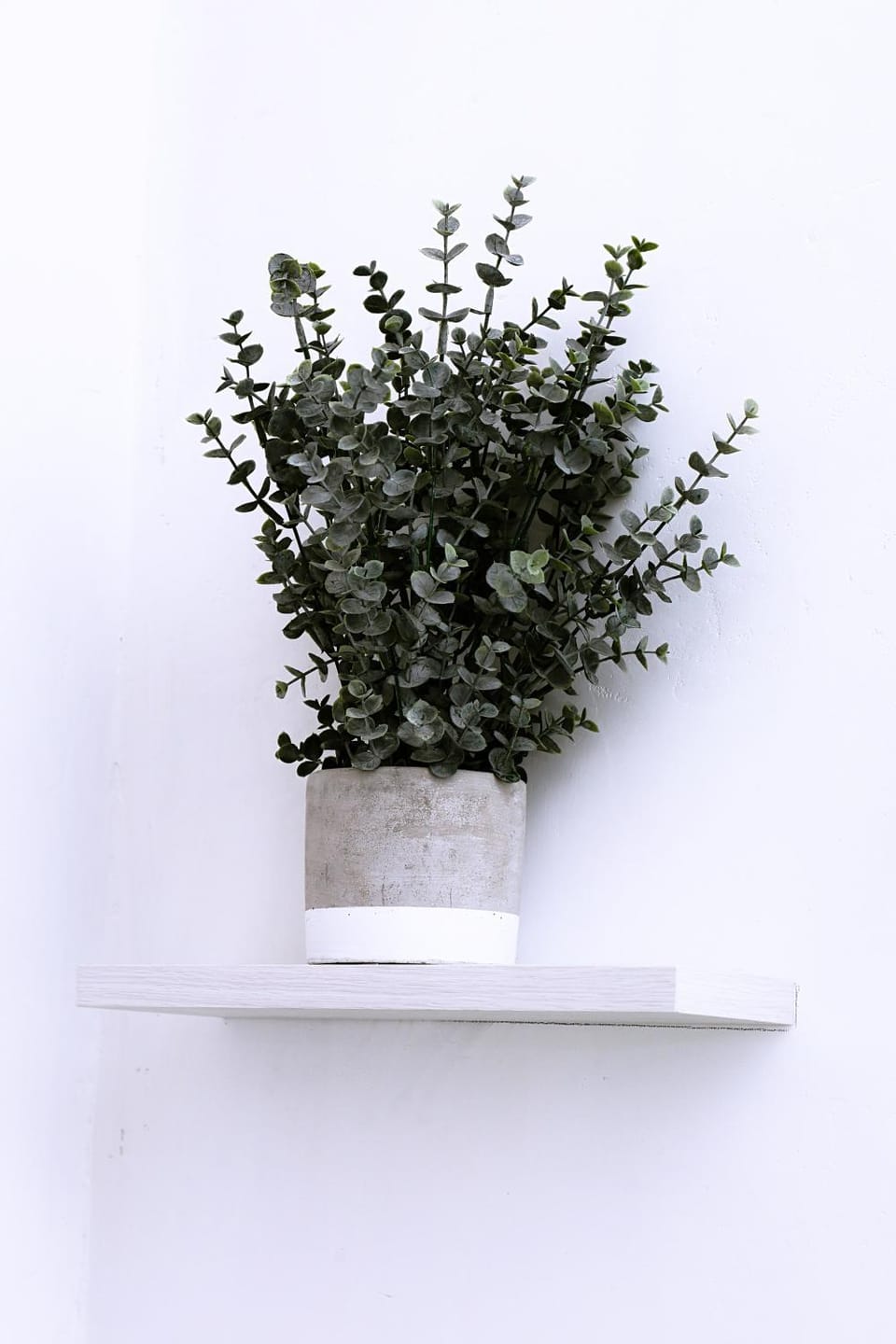 Decorative detail