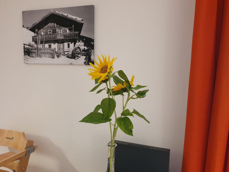 TV and multimedia, Living room, Decorative detail