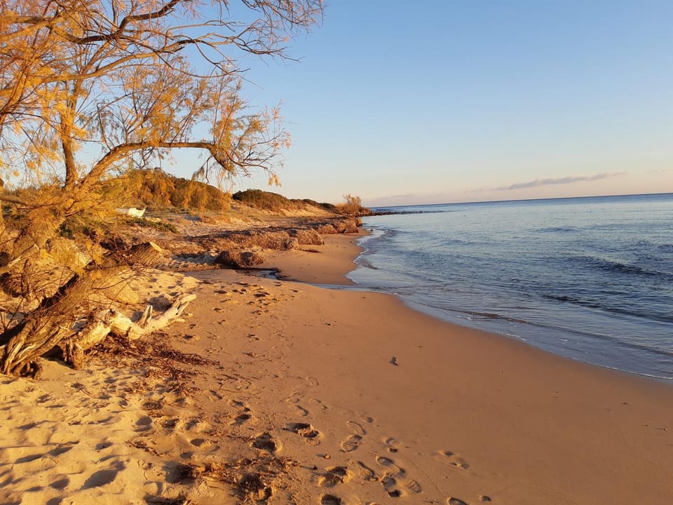 Off site, Natural landscape, Beach