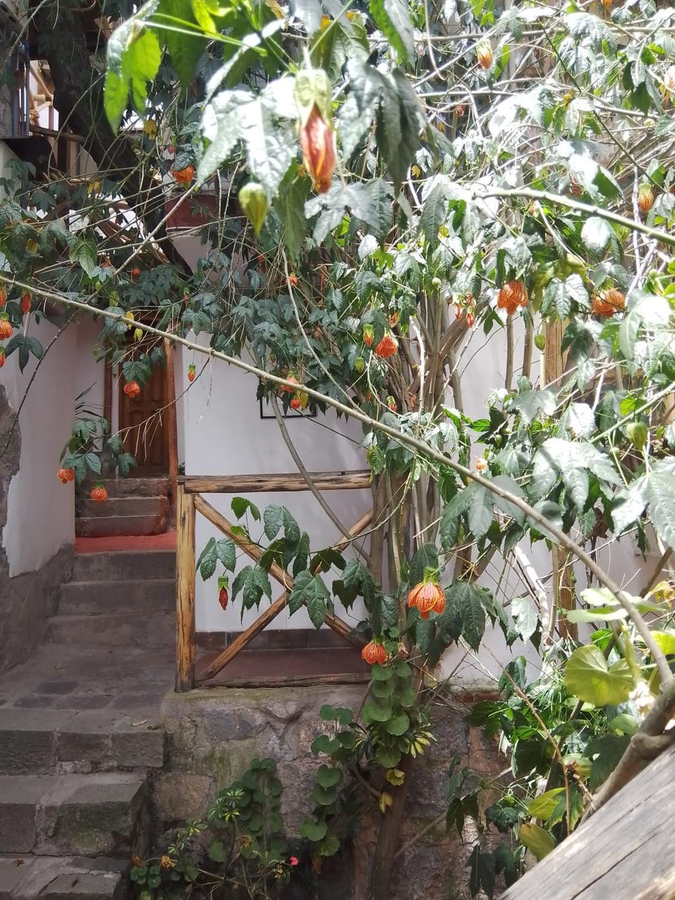 Casa De Mama Cusco - The Treehouse Apartment hotel in Cusco
