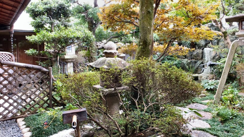 Garden view