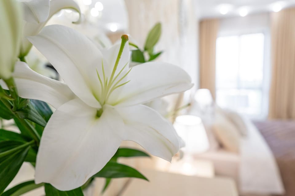 Современная квартира в центре Одессы Apartment in Odessa