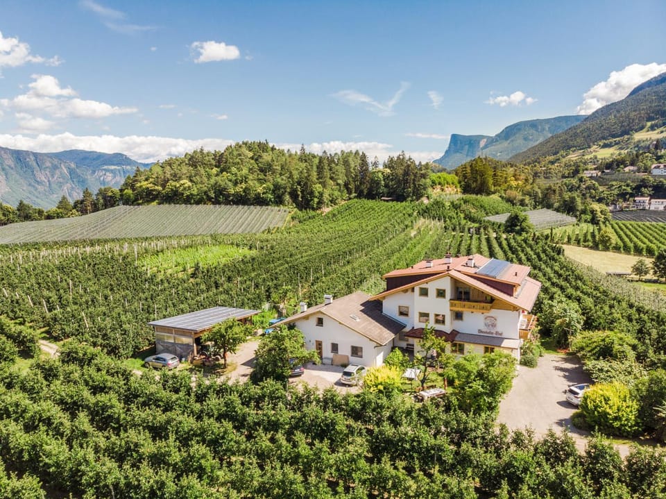 Steinkellerhof Apartment in Trentino-South Tyrol