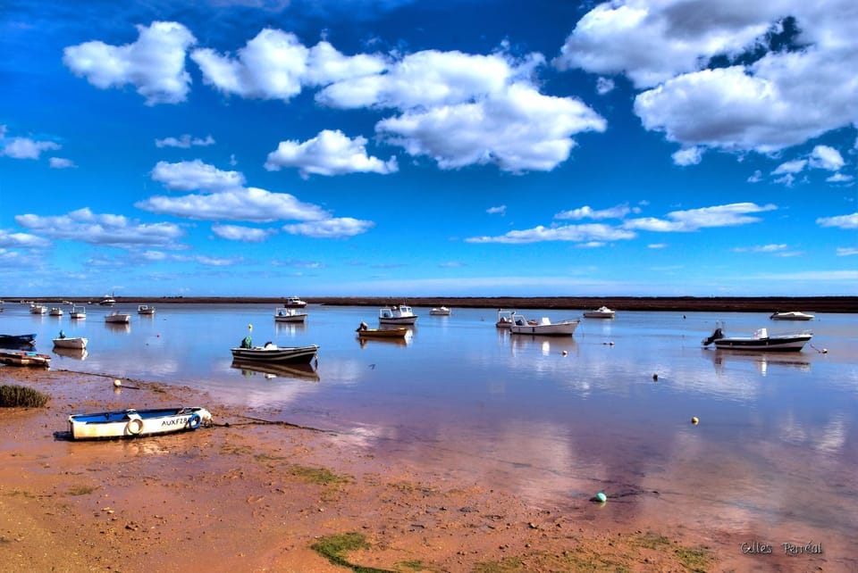 Natural landscape