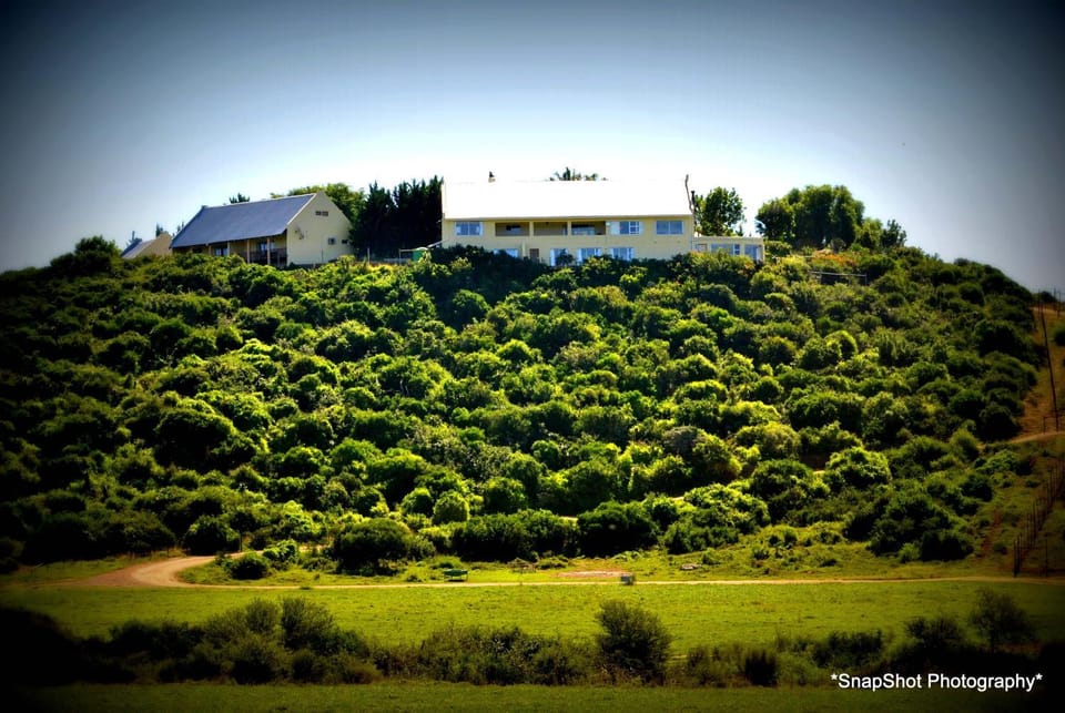 Property building, Day, Winter, Autumn