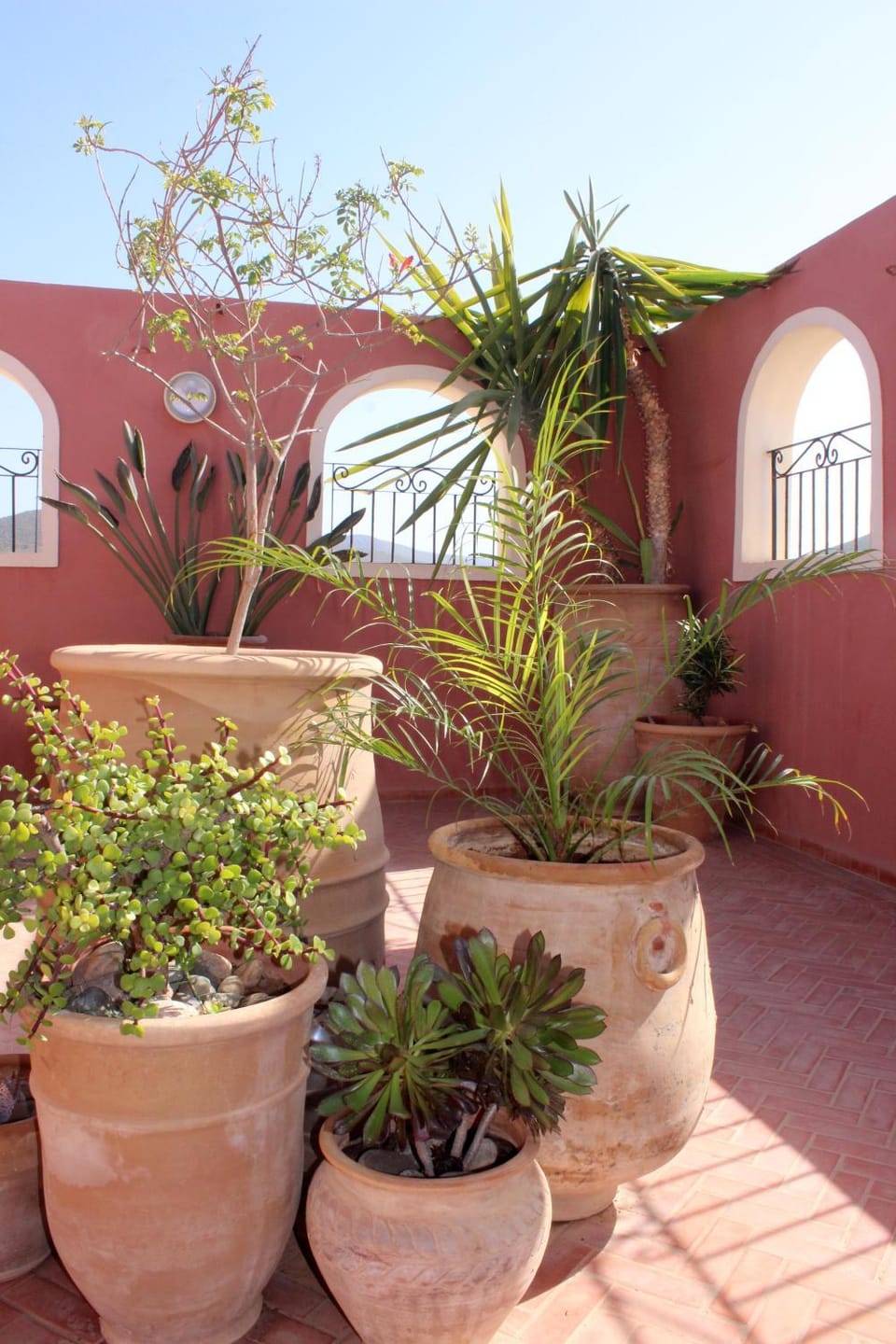 Balcony/Terrace