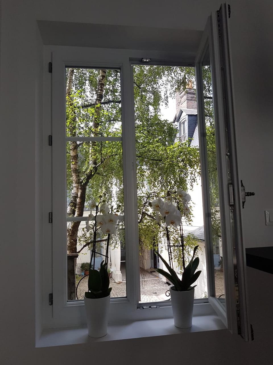 Inner courtyard view