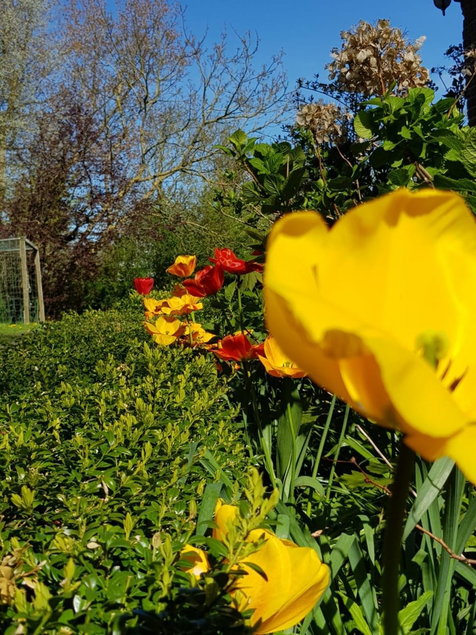 De Friesenjung Nordsee House in Dagebüll