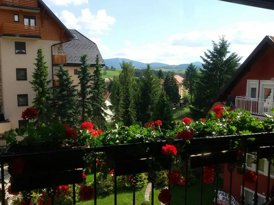 Garden view, Mountain view, Street view