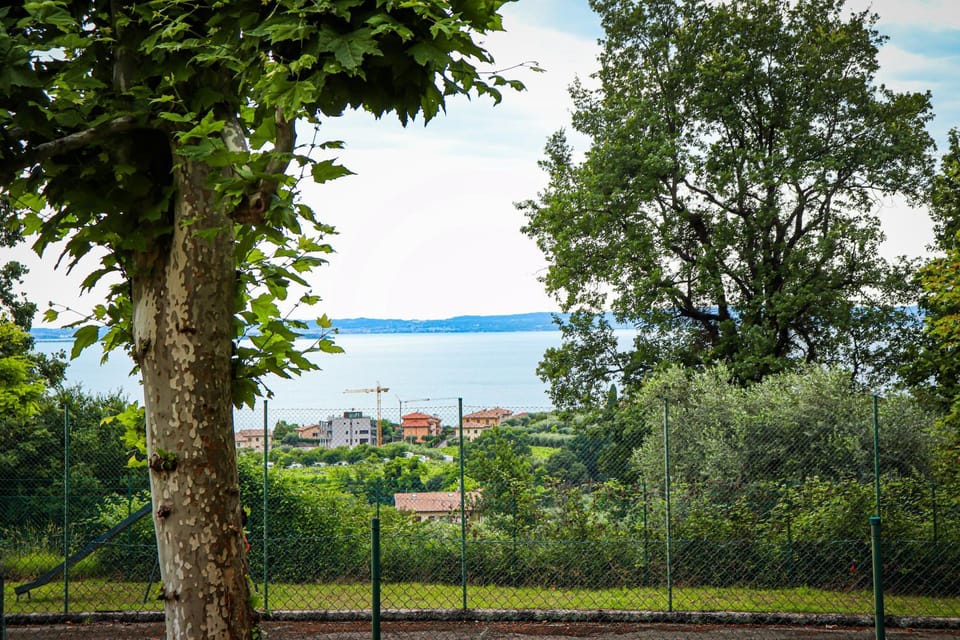 Lake view