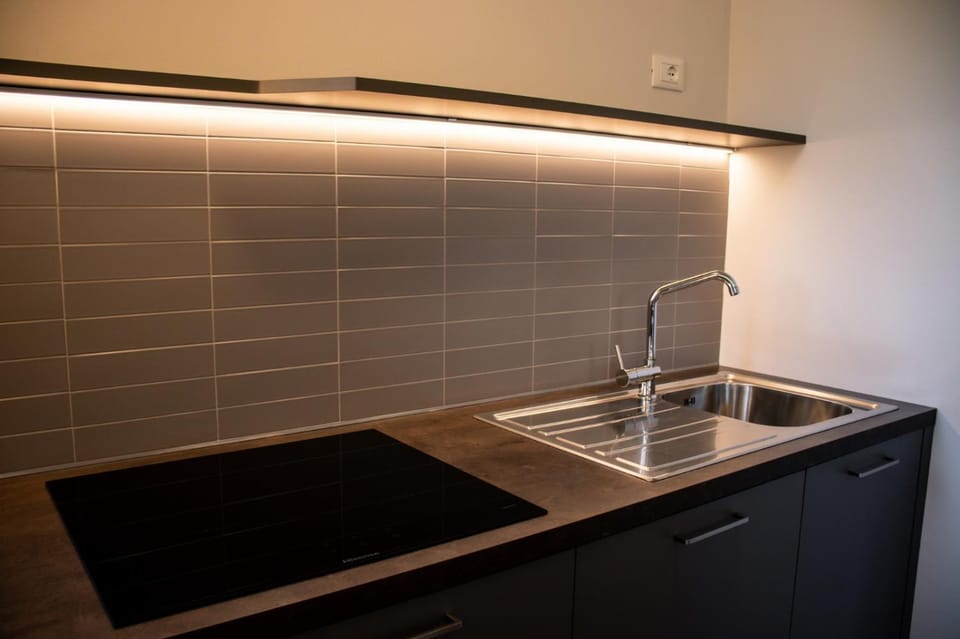 Kitchen or kitchenette, kitchen