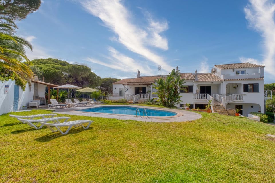 Property building, Garden, Swimming pool, sunbed