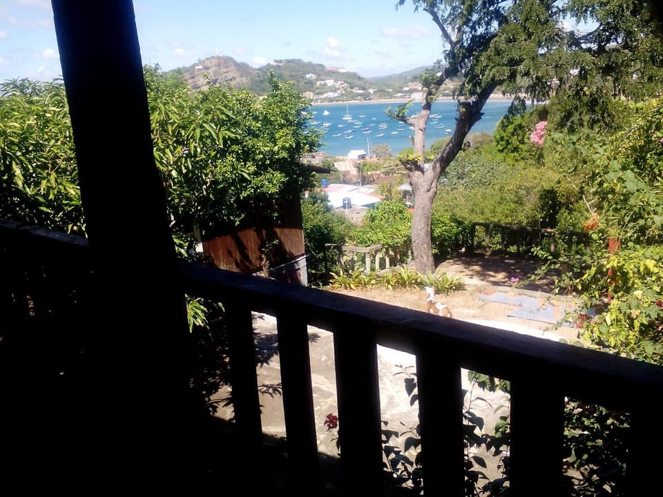 Balcony/Terrace, Balcony/Terrace, Garden view