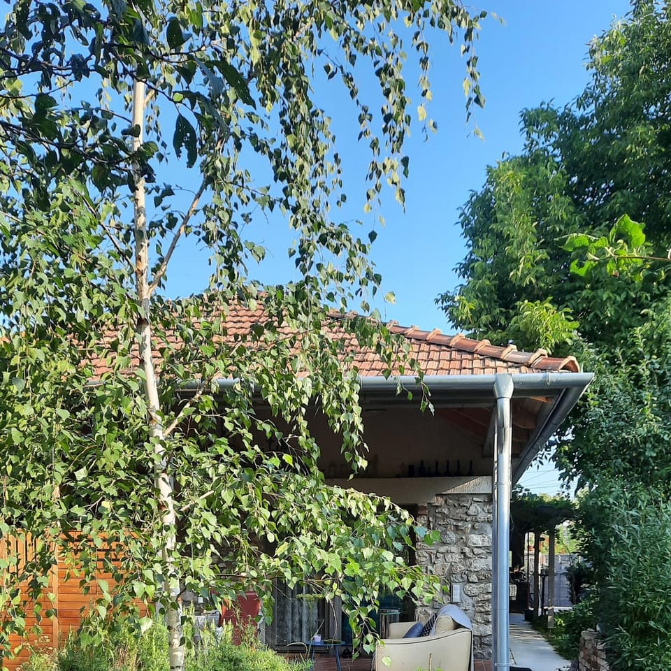 Patak Apartman, Diszel Apartment in Hungary
