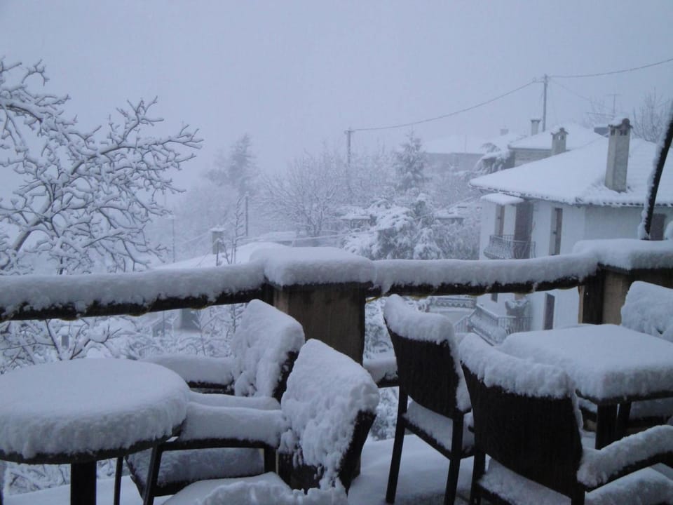 Winter, Garden, View (from property/room)