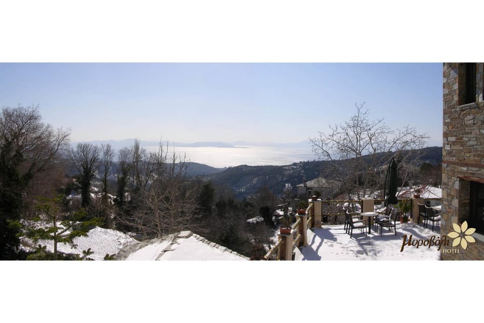 Winter, Garden, View (from property/room)