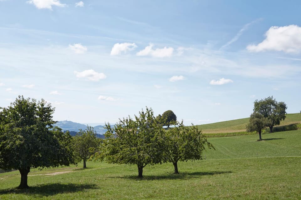 Natural landscape