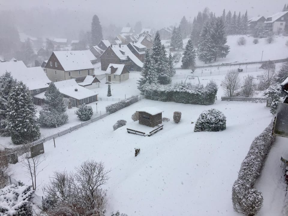 Off site, Day, Winter, On site