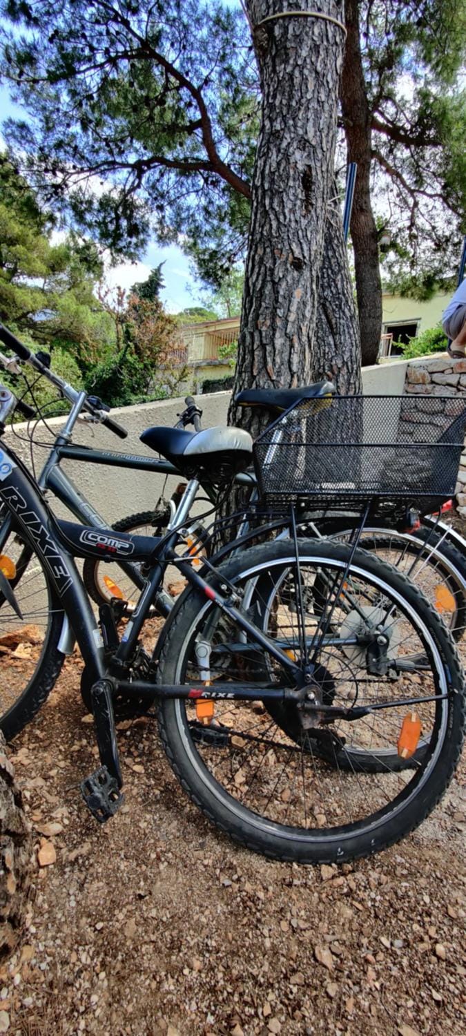 Cycling