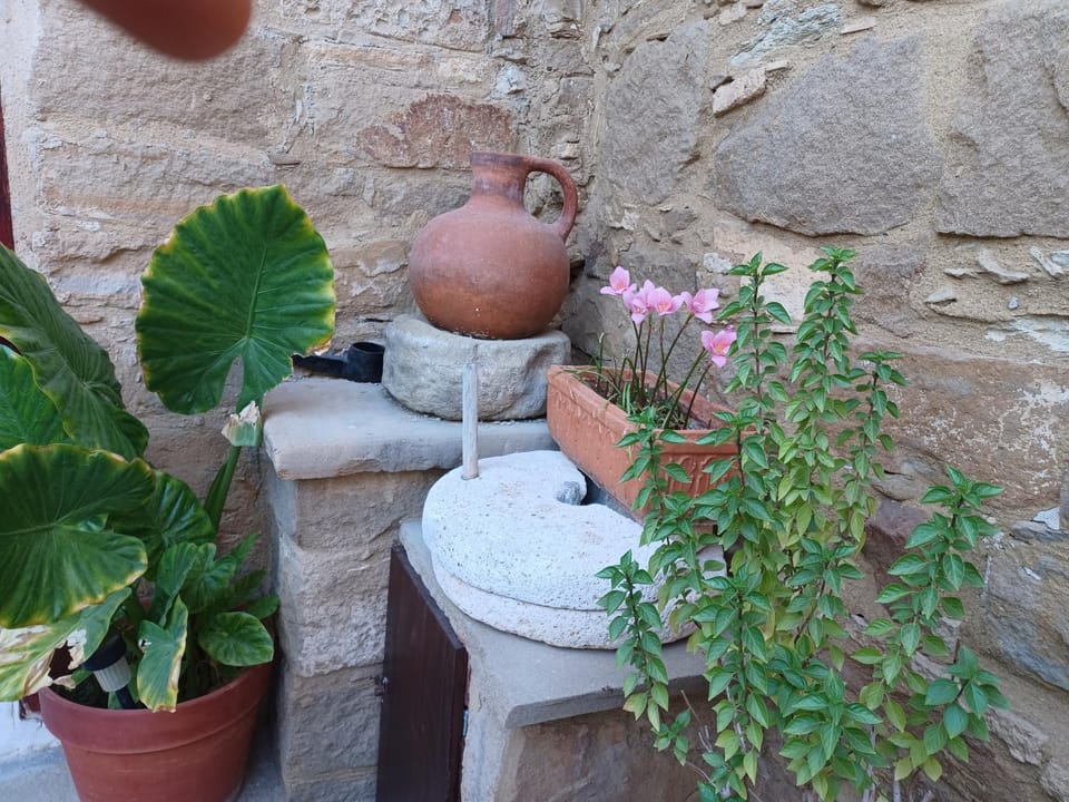 Garden, Garden view