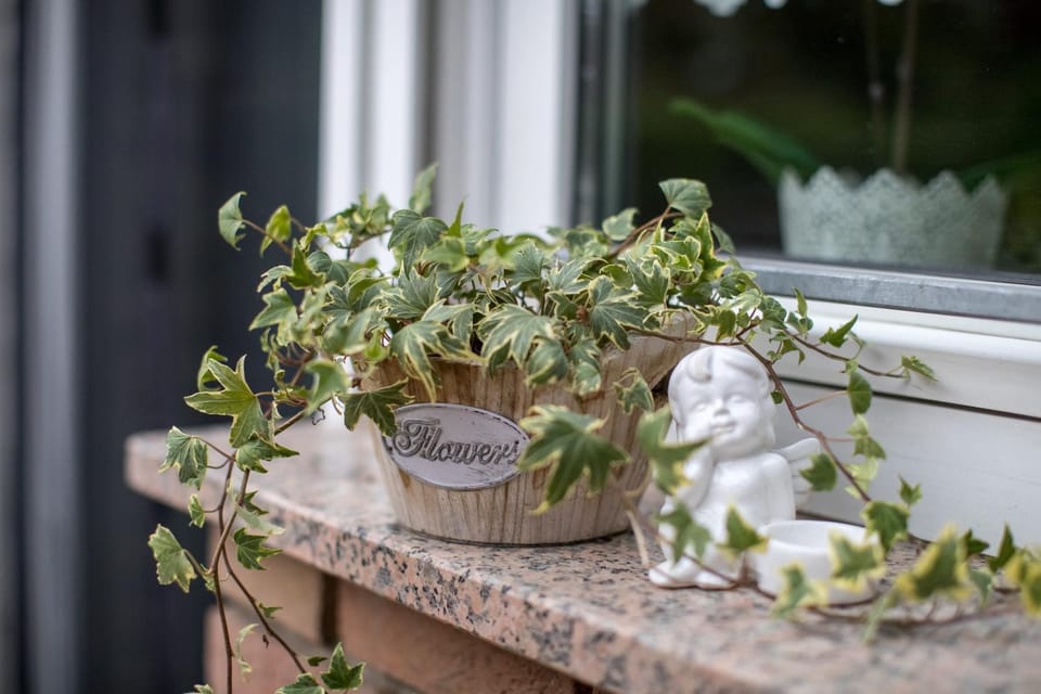 Balcony/Terrace, Decorative detail