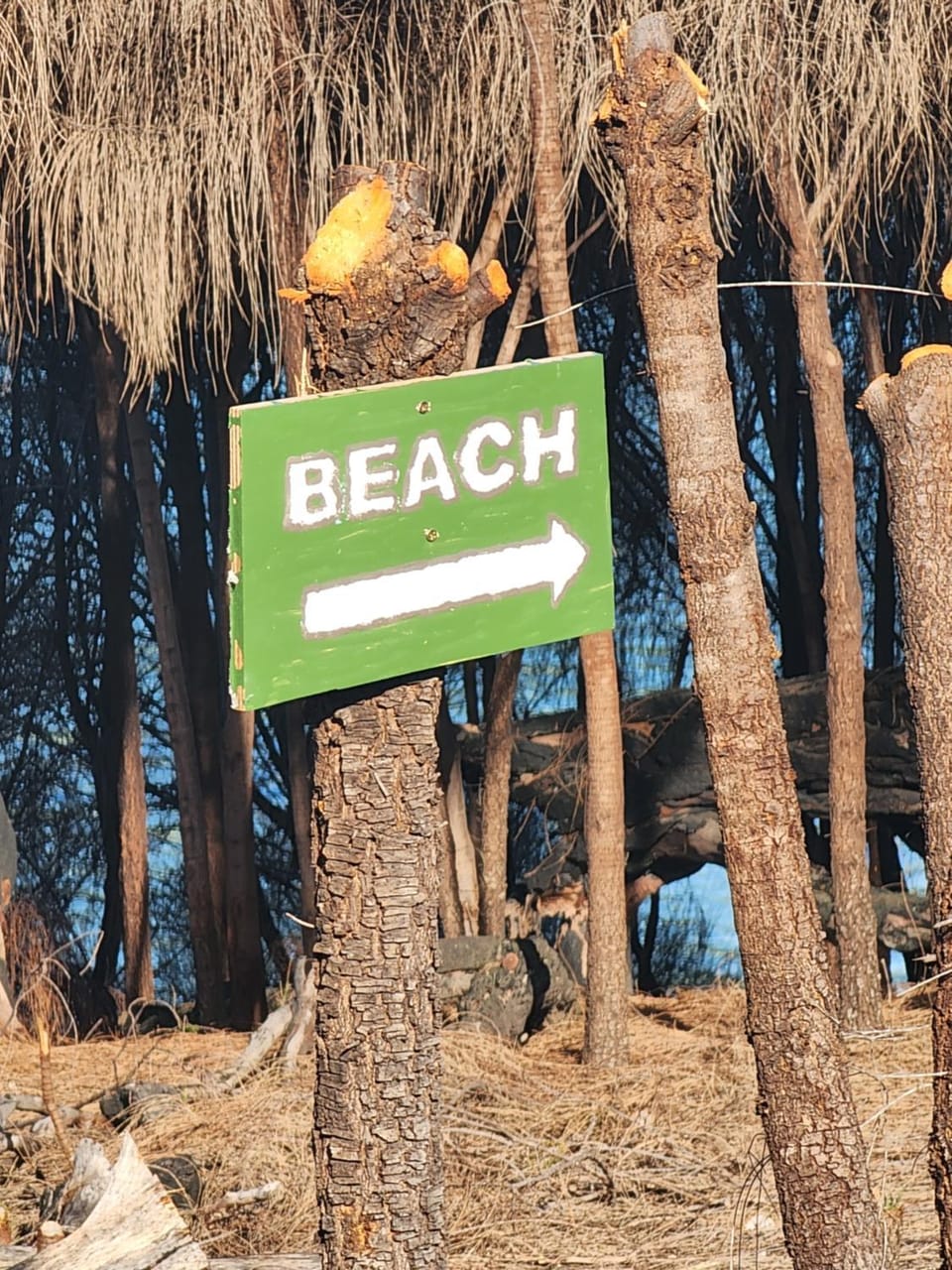 Beach
