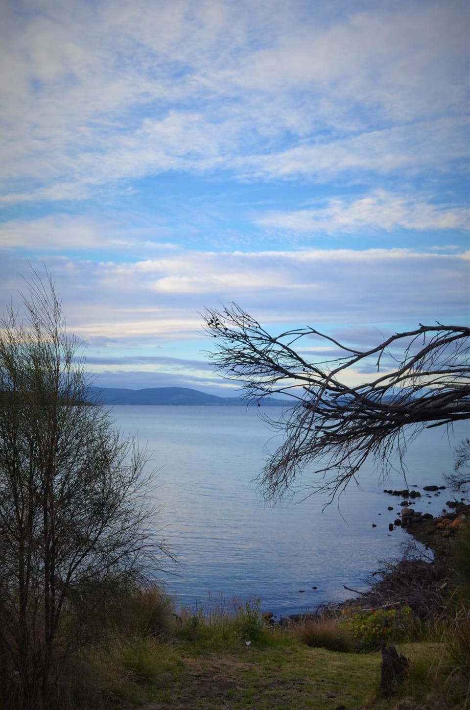 Garden view, Sea view