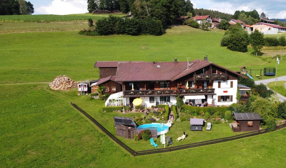 Activities, Bird's eye view, Garden, Decorative detail, Pool view