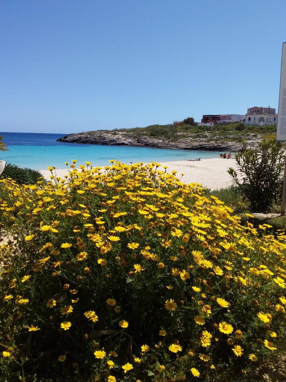Neighbourhood, Beach