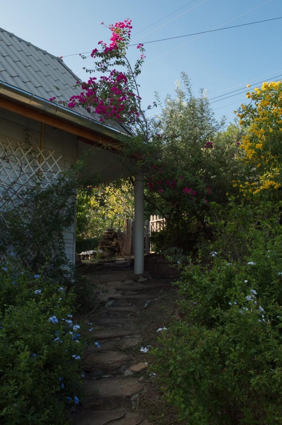 View (from property/room), Garden view, Inner courtyard view